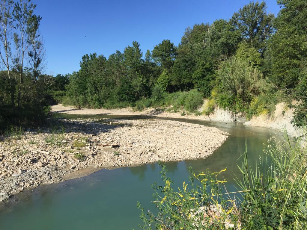 oasidelconca. vignetoEnioOttavini.Romagna.Valconca.SanClemente.Cattolica