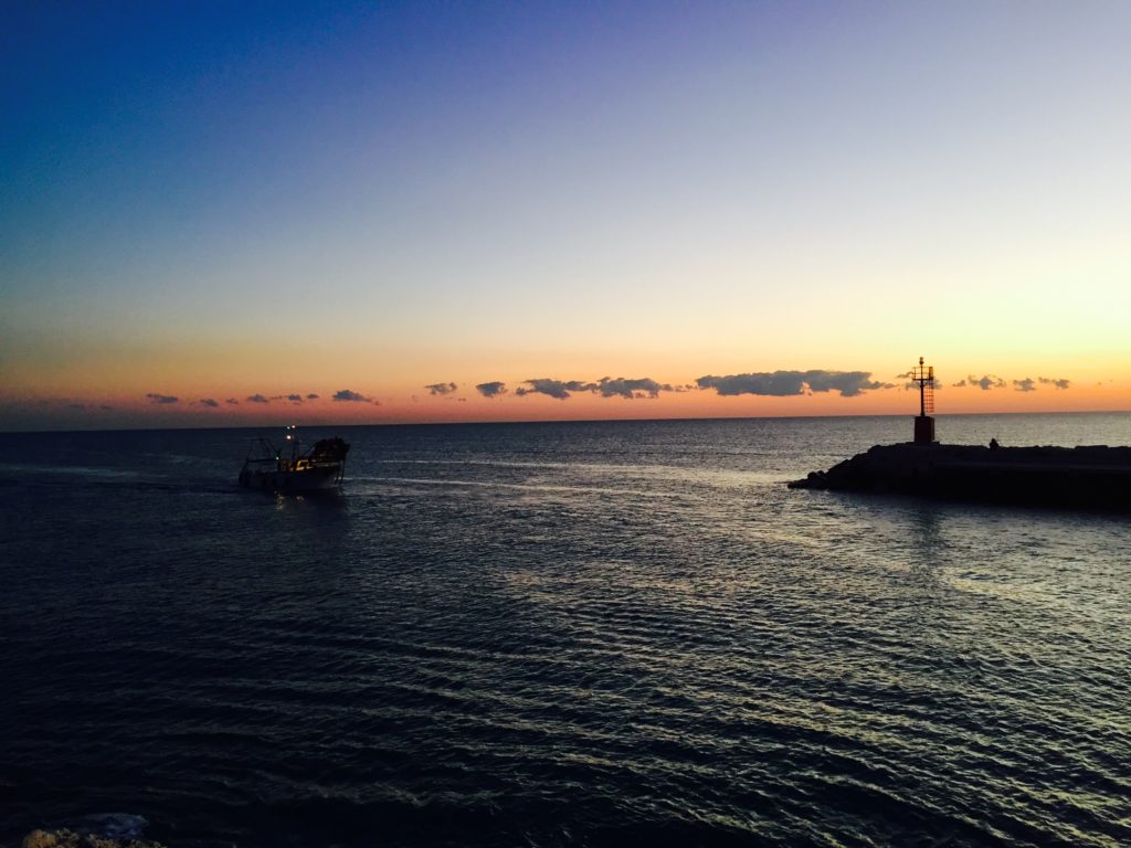 Cattolica Harbour. Sangiovese.Caciara. Romagna.EnioOttaviani