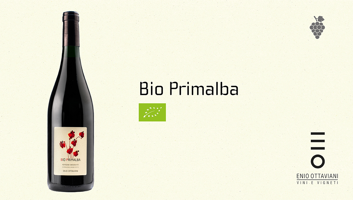 Bioprimalba-Vino-Biologico-Prowein2018-EnioOttaviani