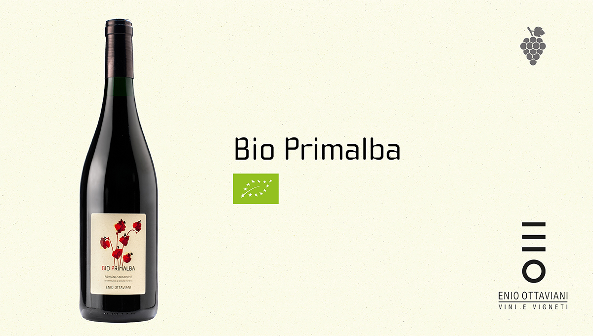 BIoPrimalba-ENioOttaviani-Prowein2018