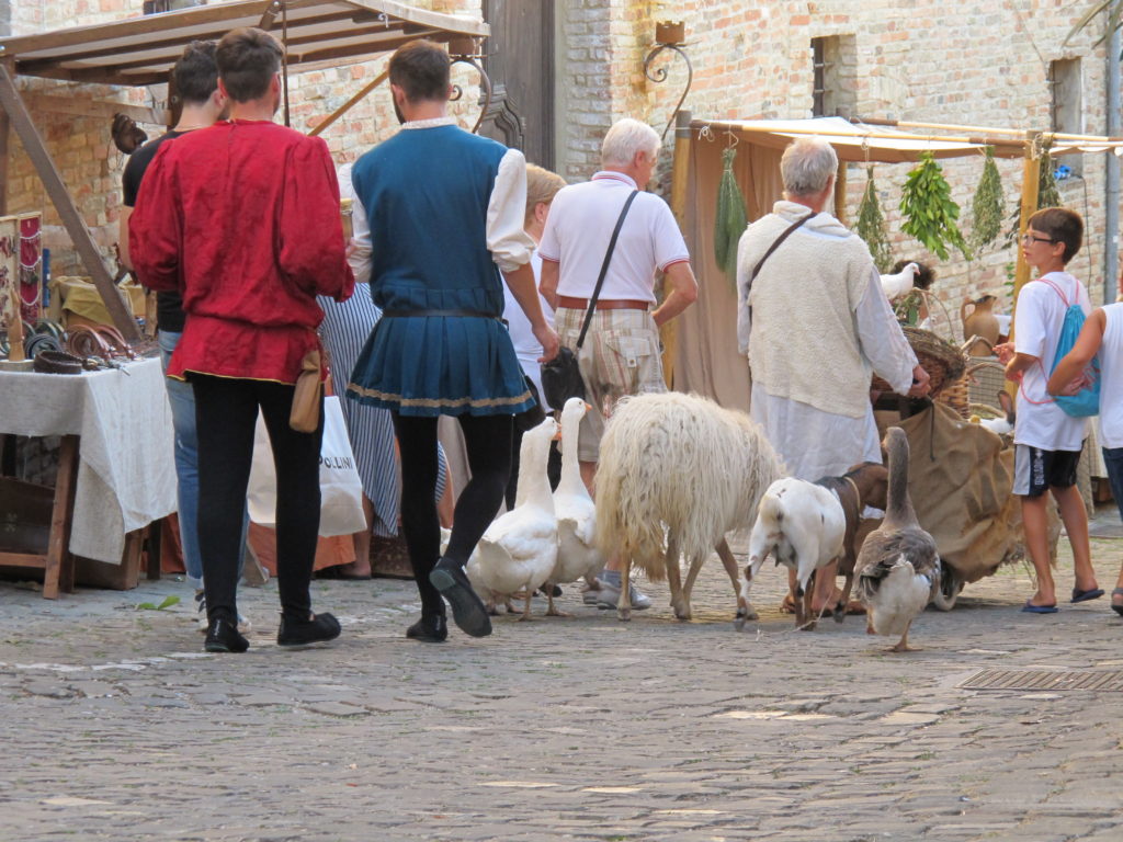 Palio-del-Daino-Mondaino-2018-Enio-Ottaviani