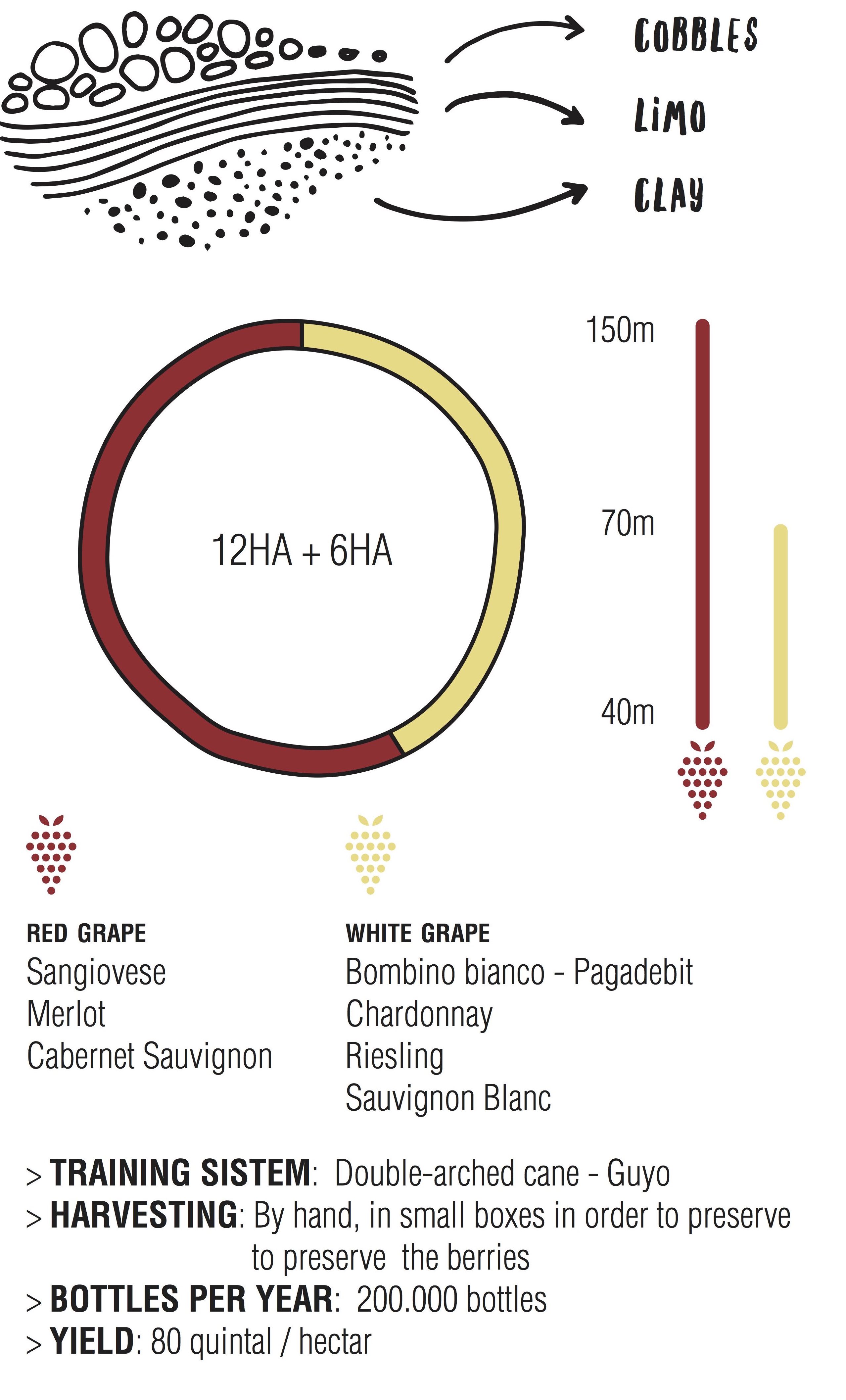 Soil-EnioOttaviani-Romagna-Sangiovese-Prowein2018