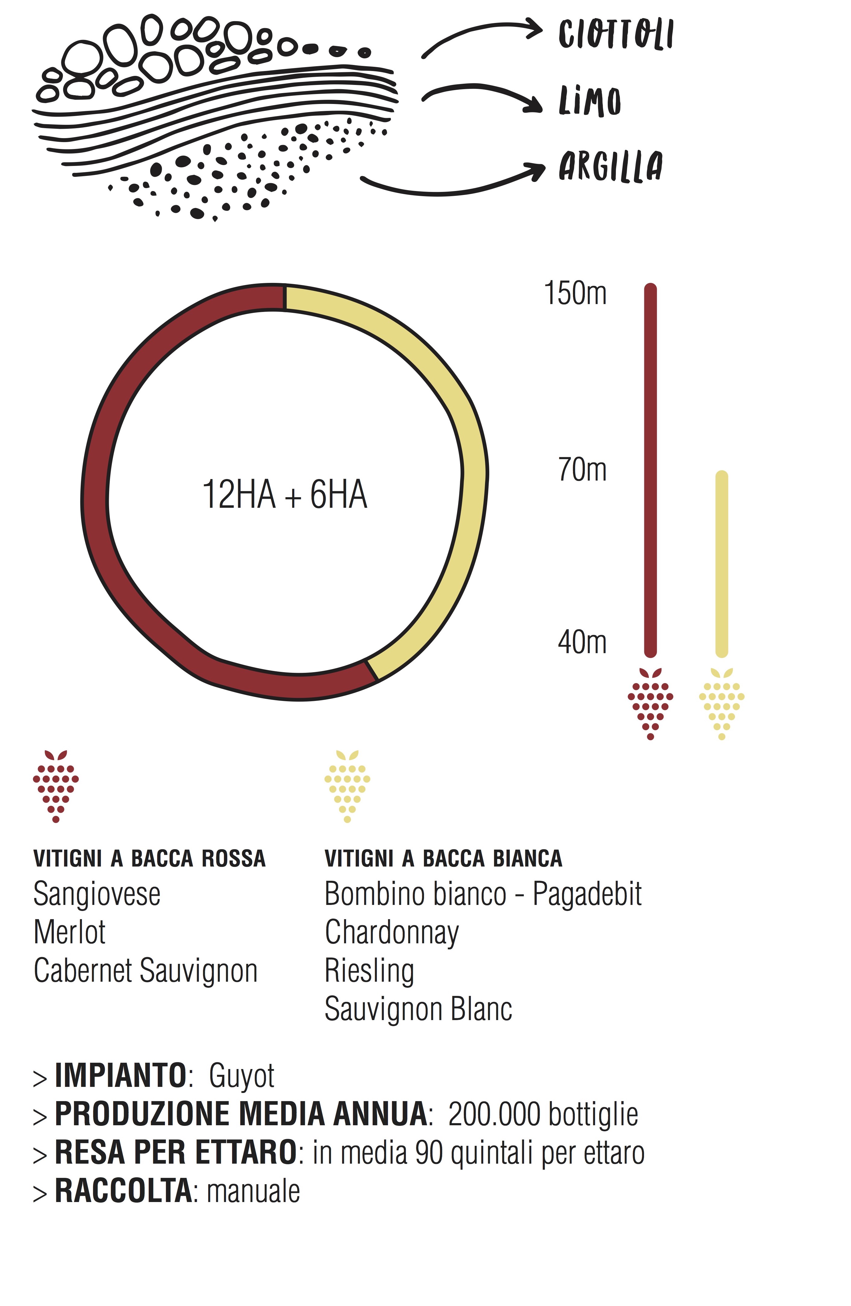 Prowein2018.EnioOttaviani.Terreni