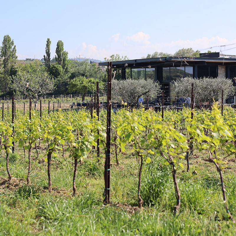 Oasi Faunistica della valle del Conca