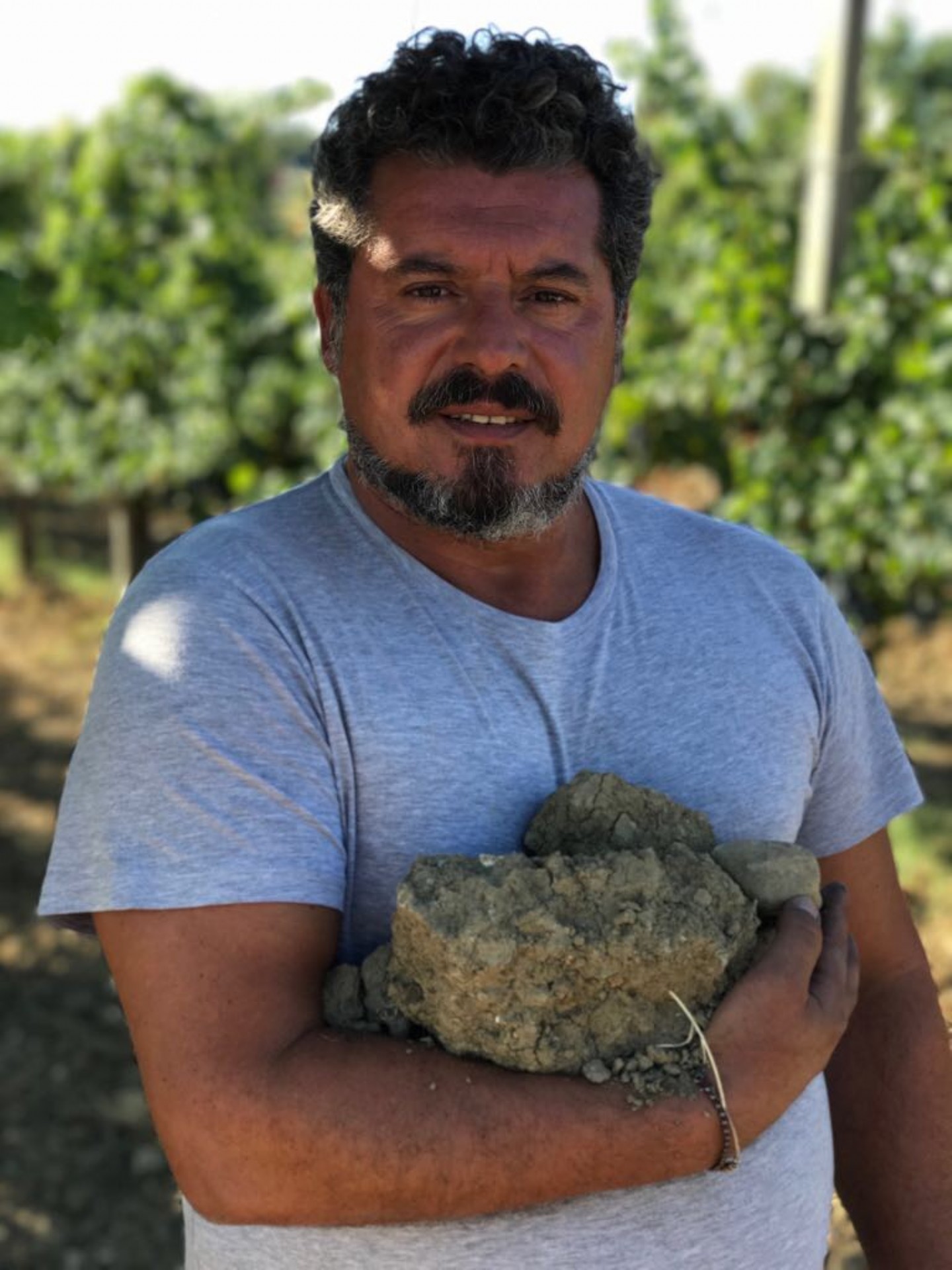 Vendemmia 2017