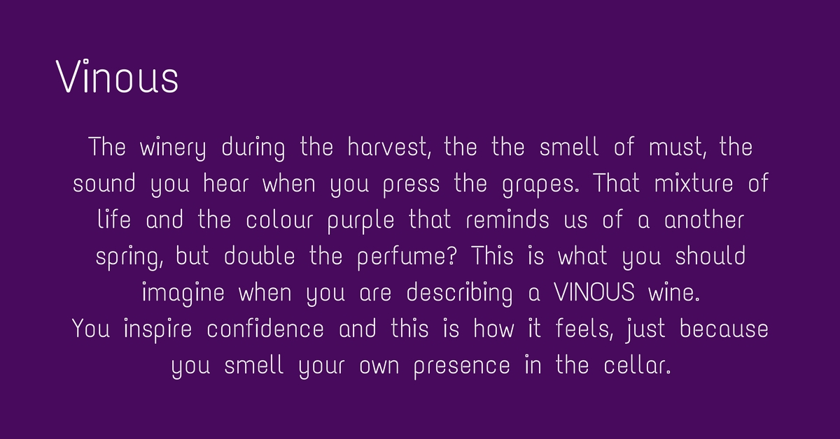 ‘The winery during the harvest, you know the the smell of must, the sound you hear when you press  the grapes. That mixture of life and the colour purple that reminds us of a another spring, but double the perfume- This is what you should imagine when you are describing a VINOUS-wine -You inspire confidence and this is how it feels